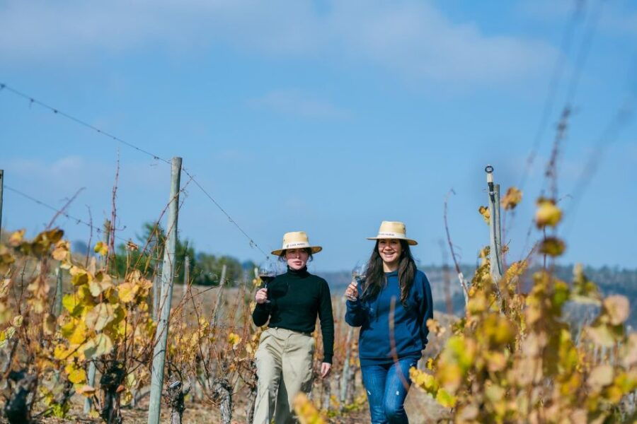 From Chile: Casa Marin's Wine Tour D.O Lo Abarca - Good To Know
