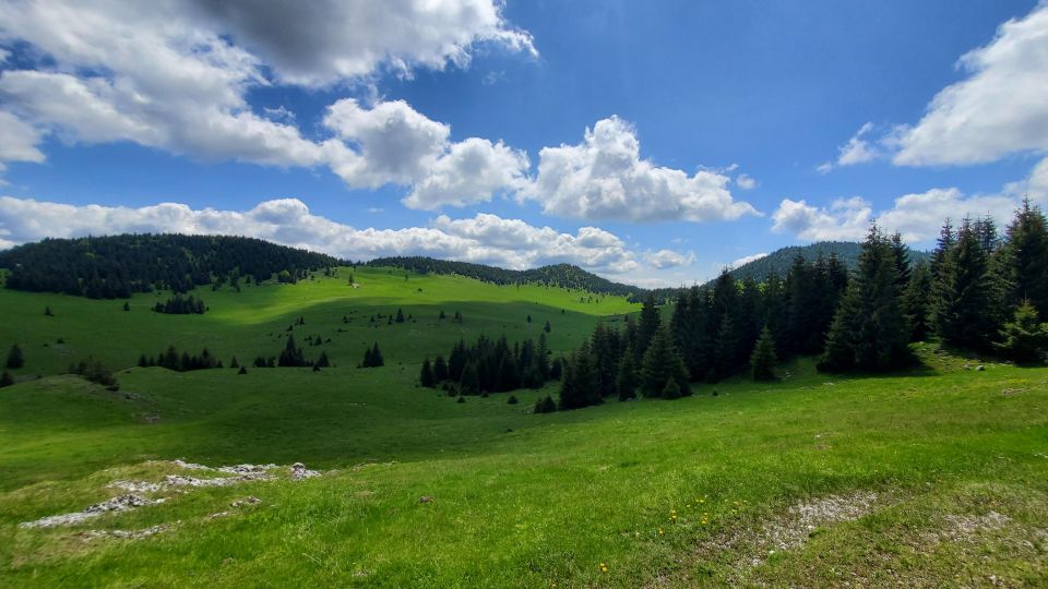 From Cluj-Napoca: Carpathian Mountains Guided Scenic Hike - Booking Details and Inclusions