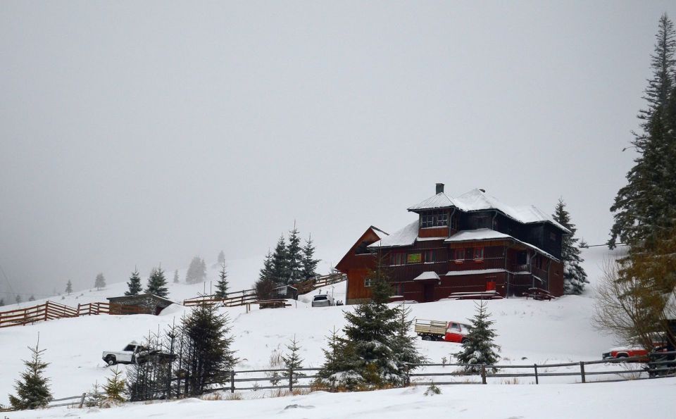 From Cluj-Napoca: Day Hike to Vlădeasa Peak - Activity Details