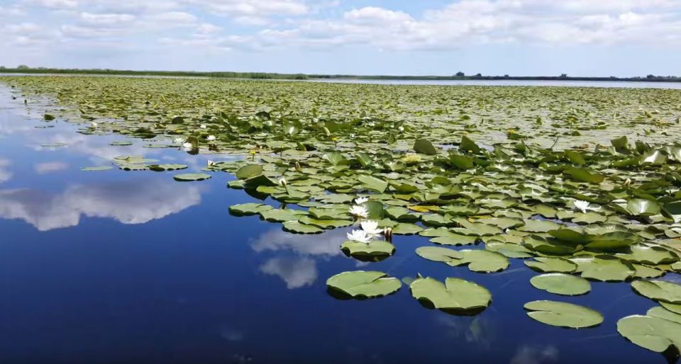 From Constanta: Day Trip to the Danube Delta - Good To Know