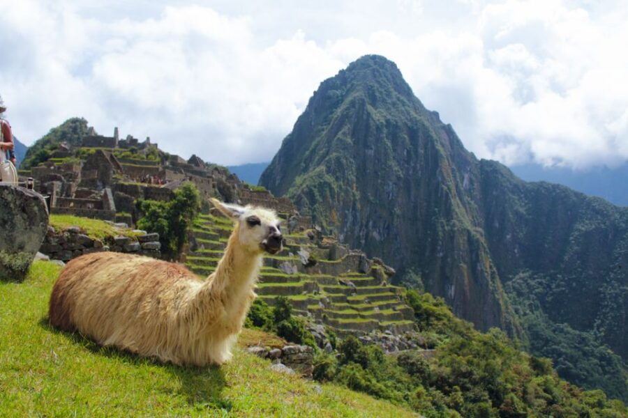 From Cusco: 2-Day Machu Picchu Small Group Tour - Good To Know