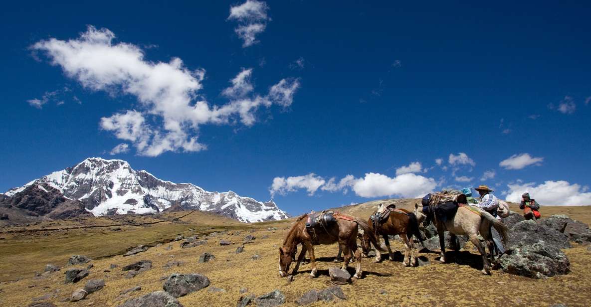 From Cusco: 2-Day Rainbow Mountain Hiking and Camping Trip - Booking Details