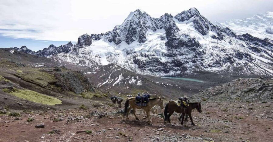 From Cusco: Ausangate Route – 7 Lagoons Tour Meals