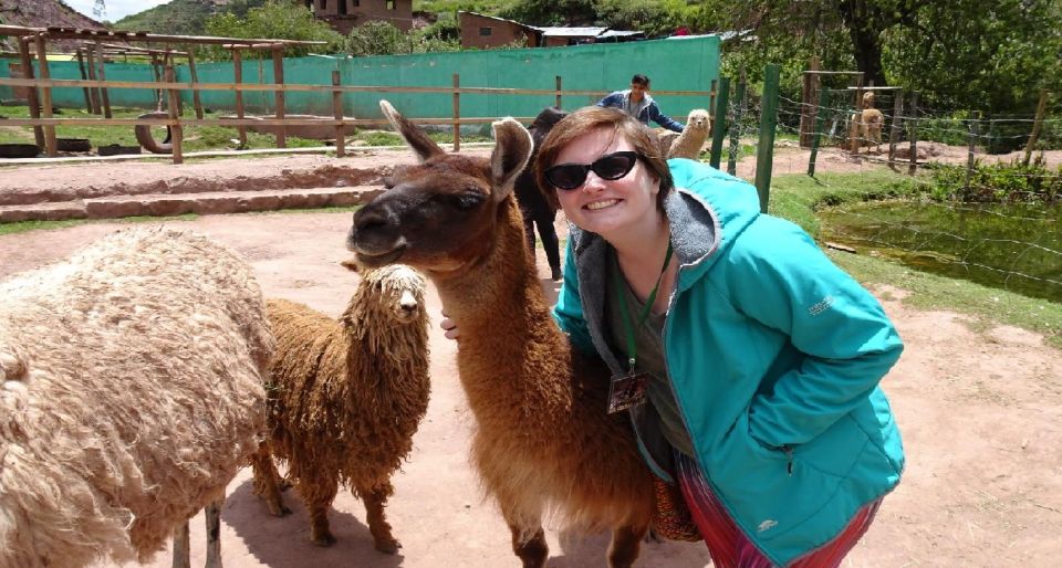 From Cusco: Cusco Machu Picchu Luxury Tour - Good To Know