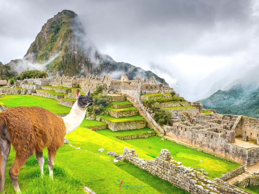 From Cusco: Machu Picchu Private Day Trip by Train - Good To Know