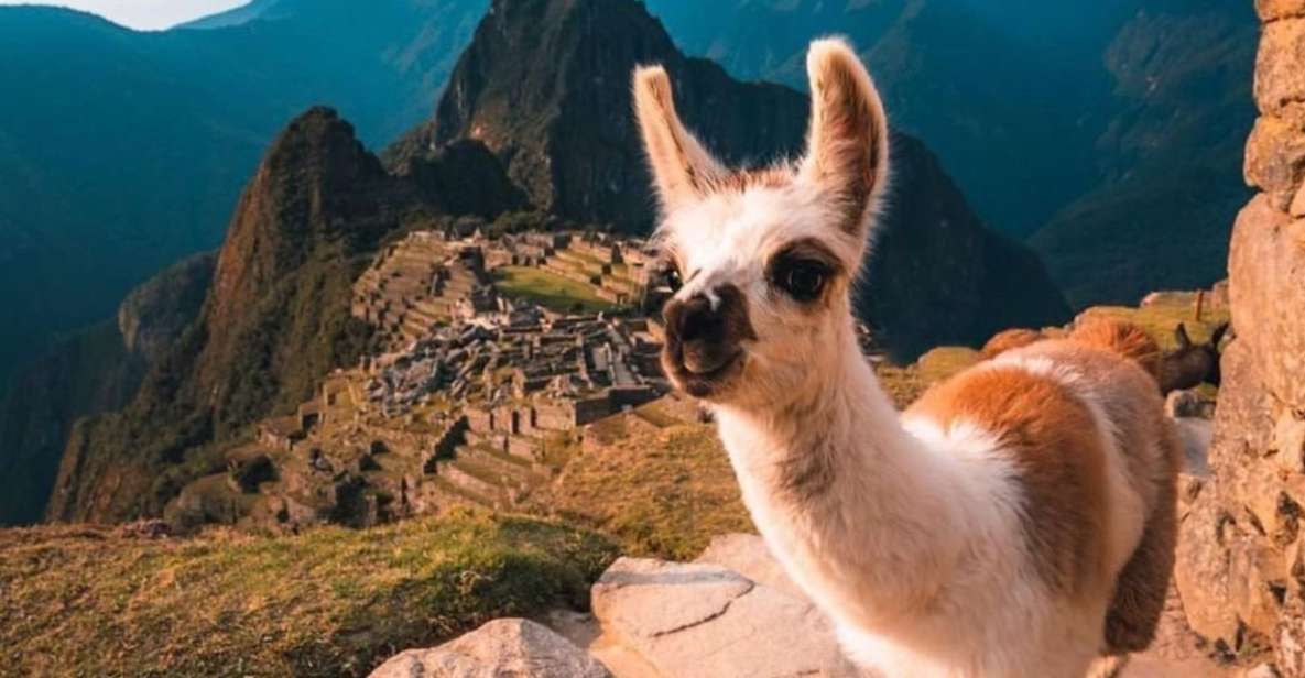 From Cusco: Machu Picchu Private Full-Day Tour With Transfer - Good To Know