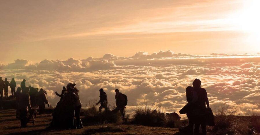 From Cusco: Manu Biosphere Peru 6 Days - Good To Know