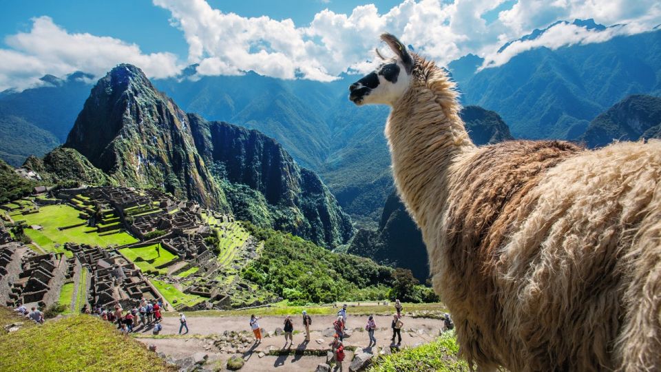 From Cusco: Private Full-Day Machu Picchu Tour With Lunch - Good To Know