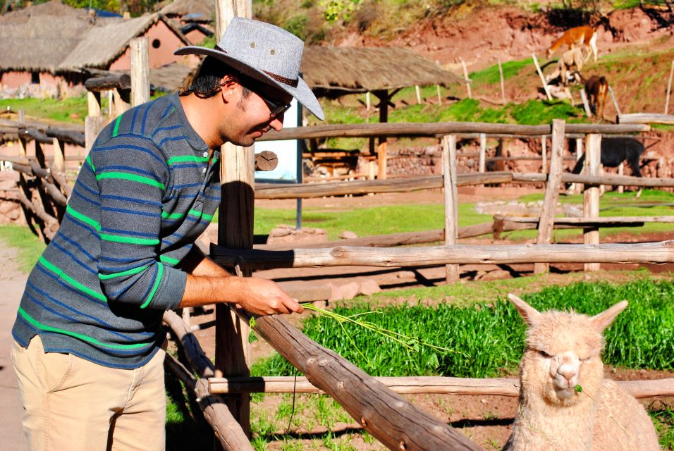 From Cusco: Private Pisac Ruins and Alpaca Farm Day Trip - Good To Know