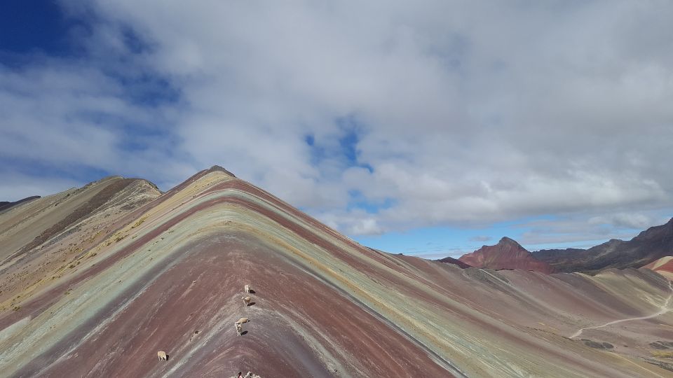 From Cusco: Rainbow Mountain Private Tour - Activity Inclusions