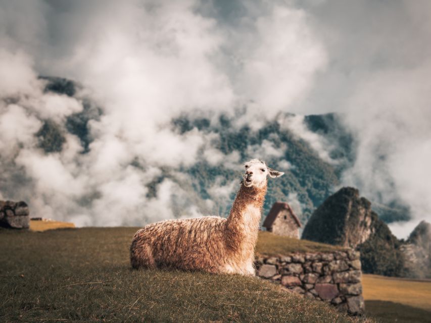 From Cusco: Sacred Valley & Machu Picchu 2-Day Tour by Train - Good To Know