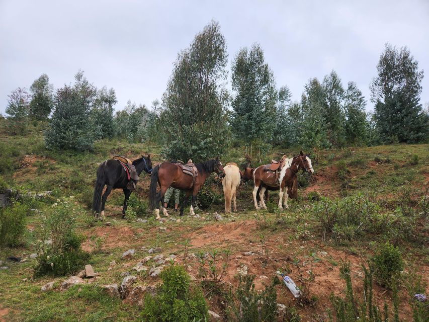 From Cusco: Temple of the Moon Horseback Tour With Transfer - Good To Know