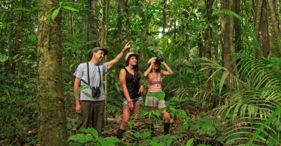 From Cusco: Tour Manu – Tambopata – Puerto Maldonado 8D/7N - Good To Know