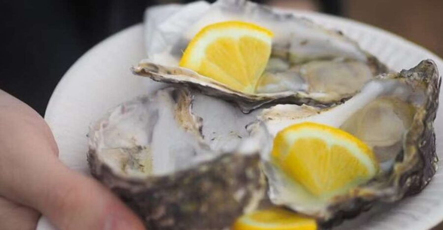 From Dubrovnik: Full-Day Tour to Ston & Oyster Tasting - Good To Know