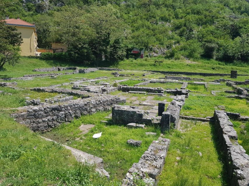 From Dubrovnik: Montenegro Coastline Private Tour - Availability and Itinerary Information