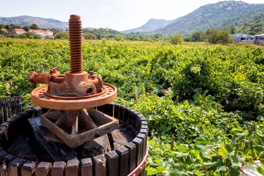 From Dubrovnik: Ston and Korčula Tour and Tastings - Good To Know