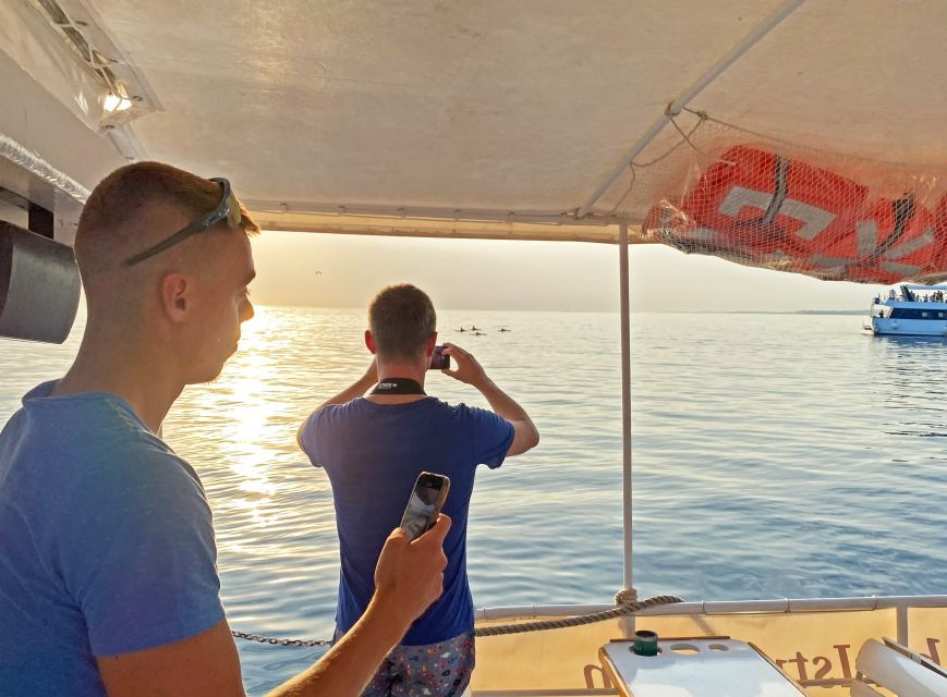From Fažana: Dolphin Sunset Cruise to Brijuni National Park