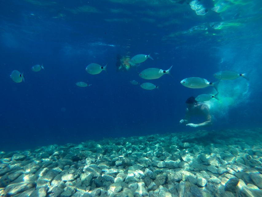 From Fazana: Private Blue Cave Snorkel & Lagoons Np Brijuni - Activity Details