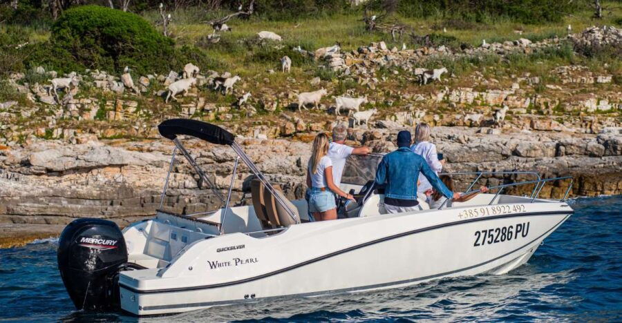 From FažAna: Private Boat Tour of Brijuni Islands