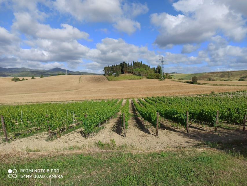 From Florence: Chianti Afternoon Tour & Visit to 2 Wineries - Scenic Marvels & Village Visits