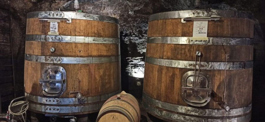 From Florence: Pisa/Chianti Half Day Tour With Wine Tasting - Highlights