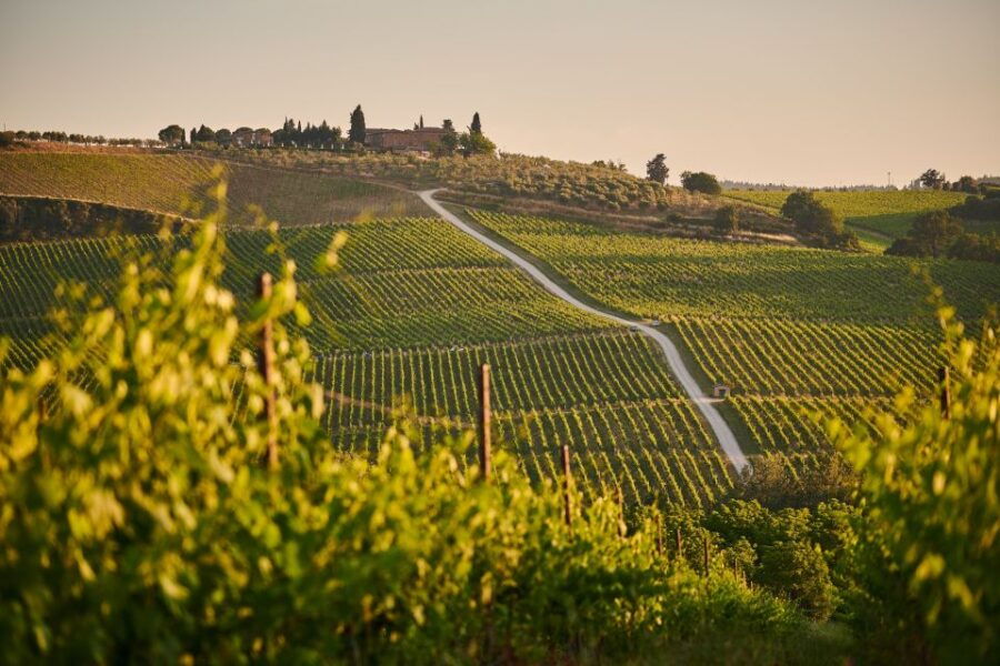 From Florence: San Gimignano & Chianti Semi Private Tour - Tour Duration and Starting Point
