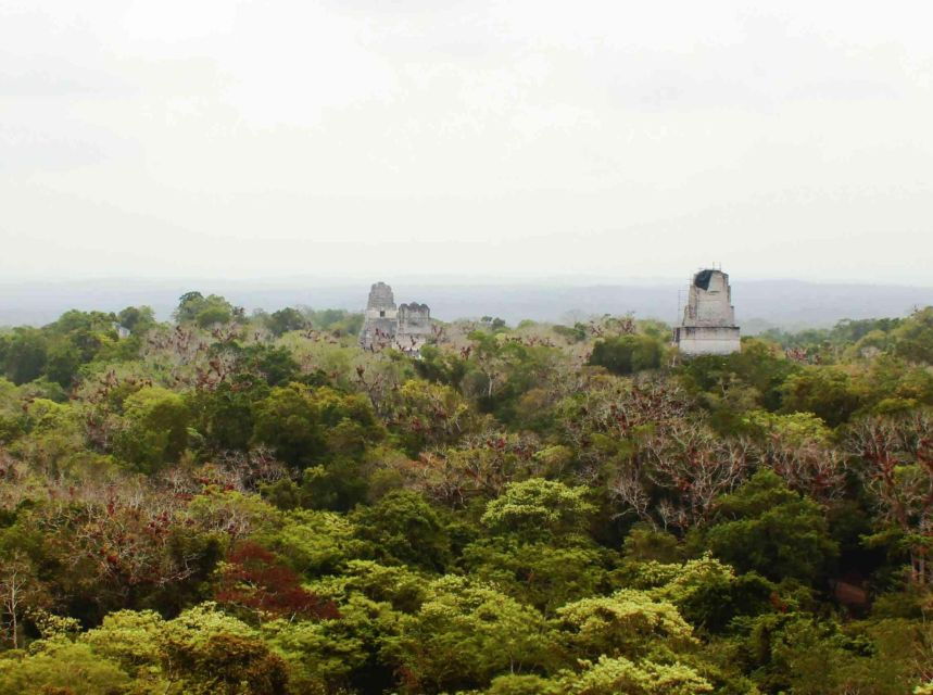 From Flores: Tikal Sunset Tour