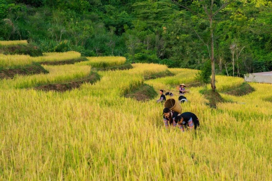 From Hanoi: Mai Chau 2 Days 1 Night Tour Cycling, Kayak