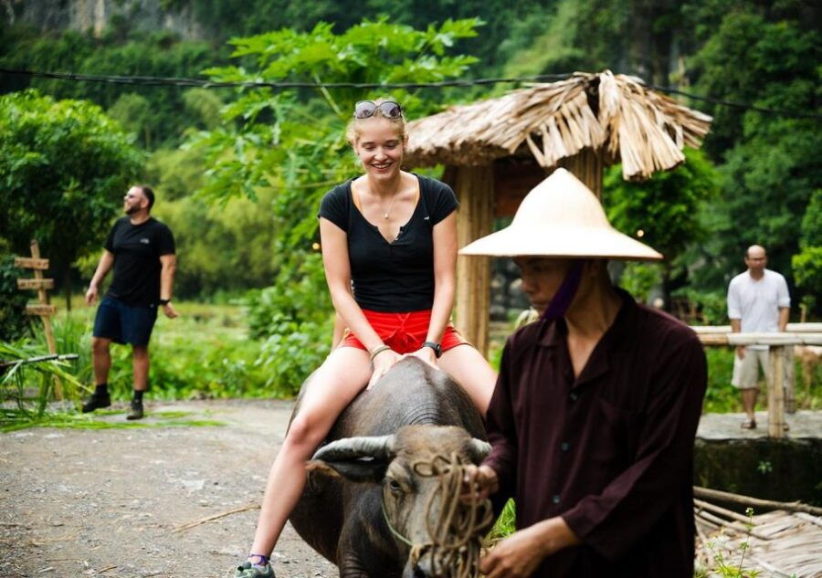 From Hanoi: Trang An, Mua Cave, Buffalo Cave 2-Day Tour - Good To Know