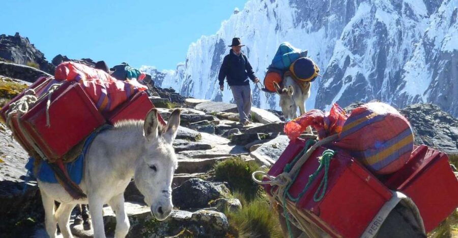 From Huaraz Trekking Santa Cruz-Llanganuco 4Days /3 Night - Good To Know
