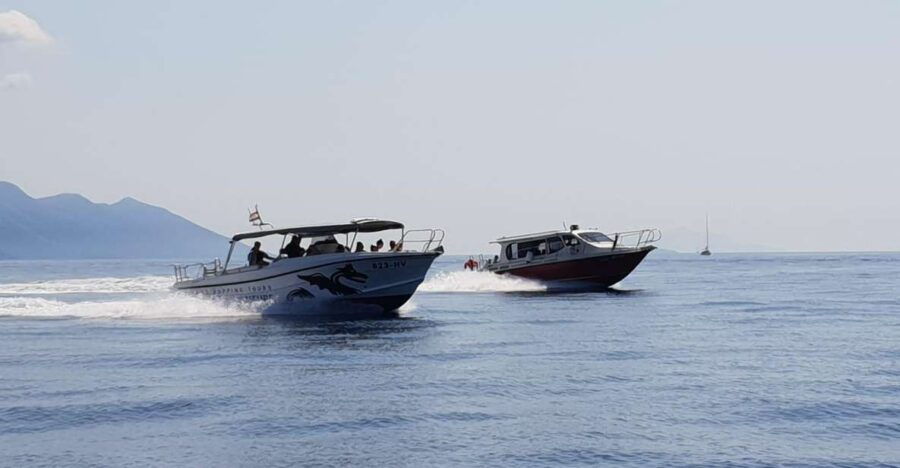 From Hvar: Unforgetable Tour to The Island Vis and Blue Cave - Good To Know