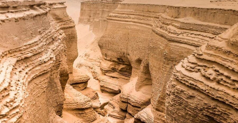 From Ica Los Perdidos Canyon Excursion Full Day