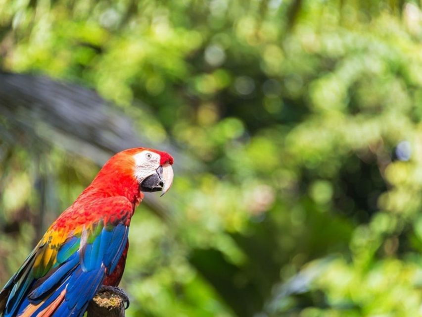 From Iquitos: Amazonas 2 Days 1 Night - Good To Know