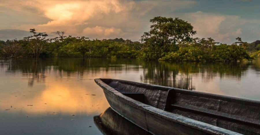 From Iquitos: Full Day Wonderful Wildlife - Good To Know
