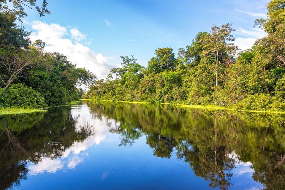 From Iquitos Navigate the Amazon River – Full Day