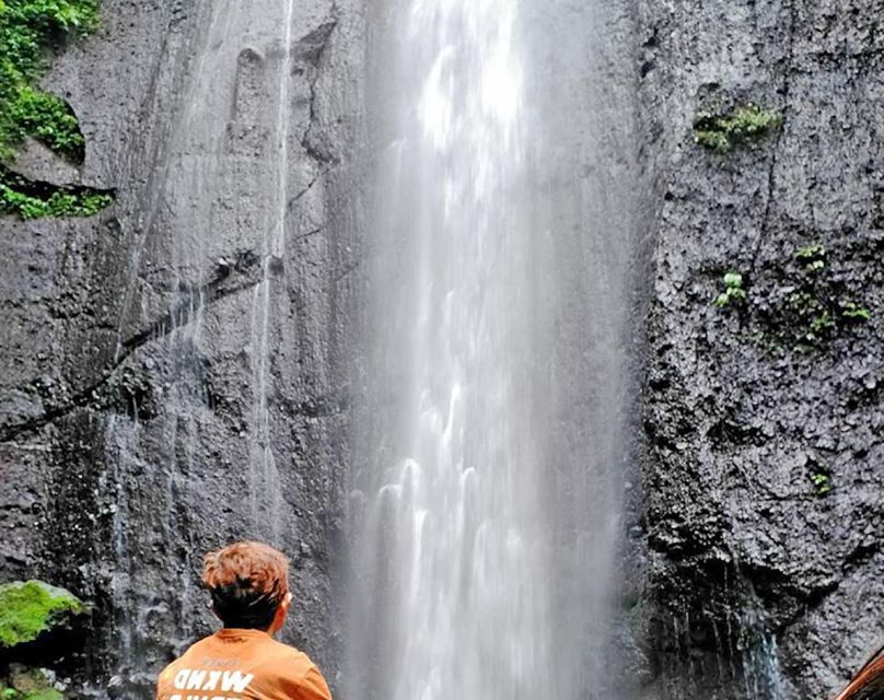 From Jakarta : Waterfall , Botanical Garden , Puppet Show - Puppet Show Experience