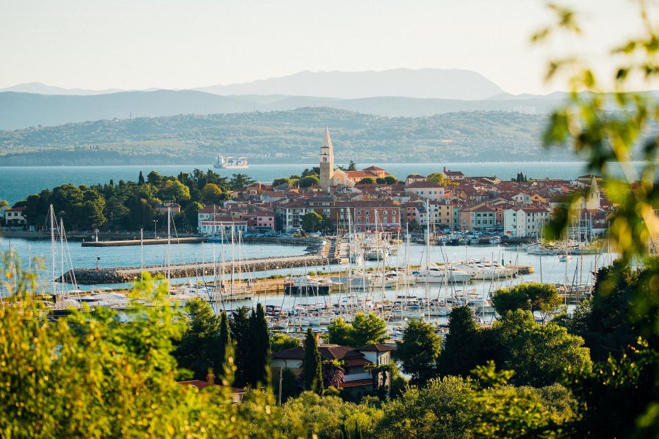 From Koper: Slovenian Riviera Bus Tour With Food Tastings - Booking Information