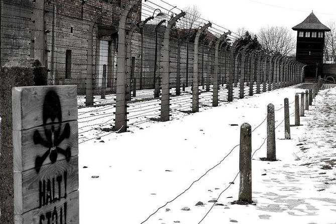 From Krakow: Auschwitz-Birkenau Regular Tour - Private Chauffeur - Good To Know