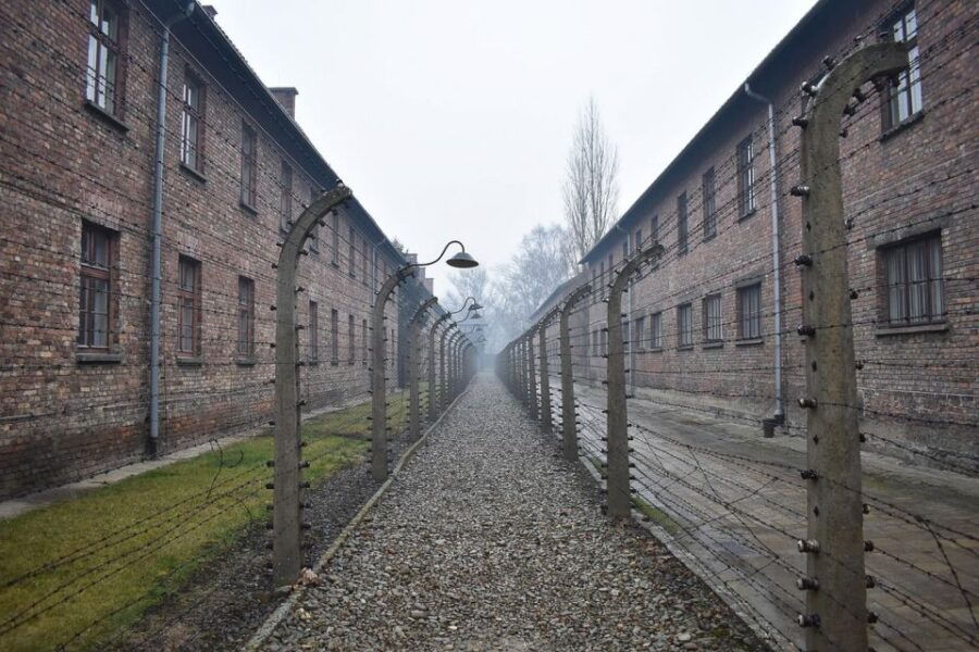 From Krakow: Auschwitz-Birkenau Self-Guided Tour - Good To Know