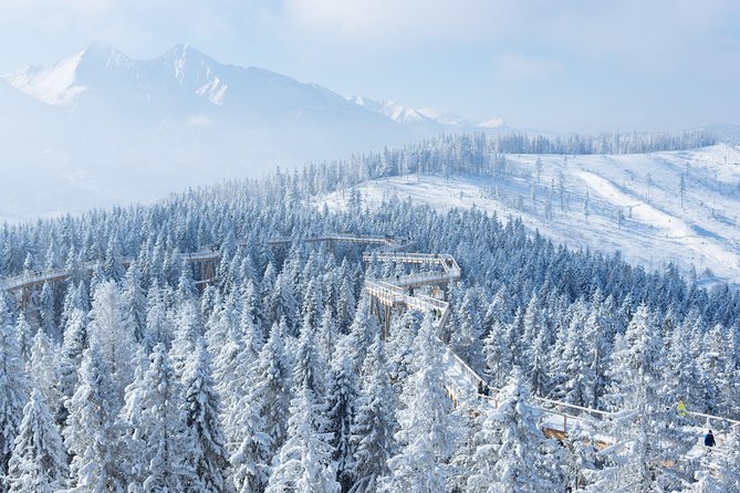 From Kraków: Slovakia Treetop Walk and Bachledka Ski - Good To Know
