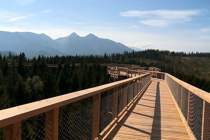 From Kraków: Slovakia Treetop Walk Bachledka and Zakopane - Pricing and Booking