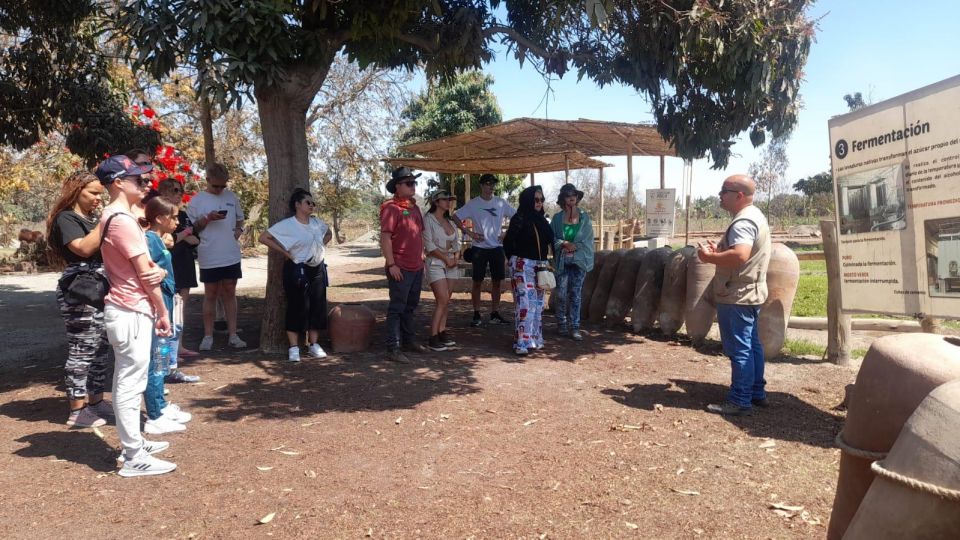 From Lima: Paracas and Huacachina Full Day Bus Tour