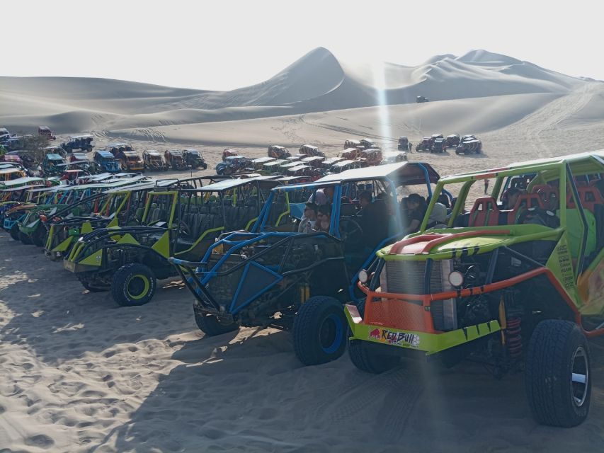 From Lima: Tour to Ballestas Islands, Huacachina Oasis