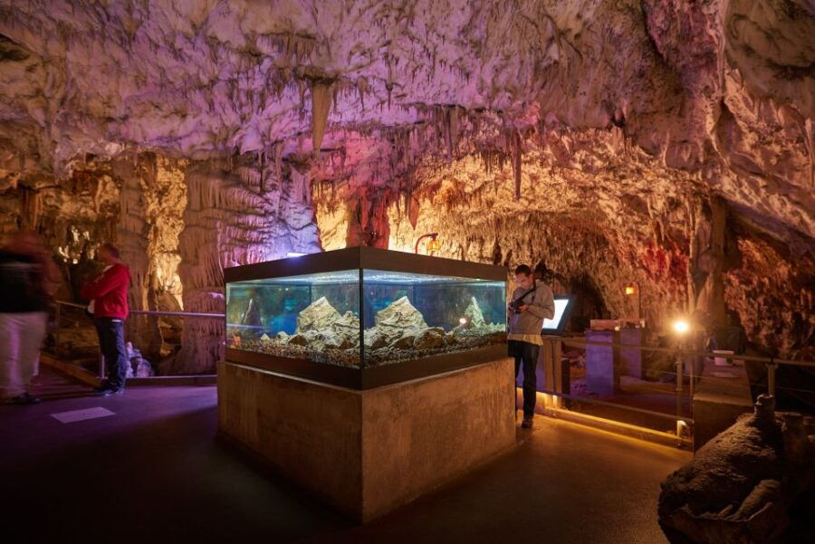 From Ljubljana: Lake Bled & Postojna Cave With Entry Tickets - Good To Know