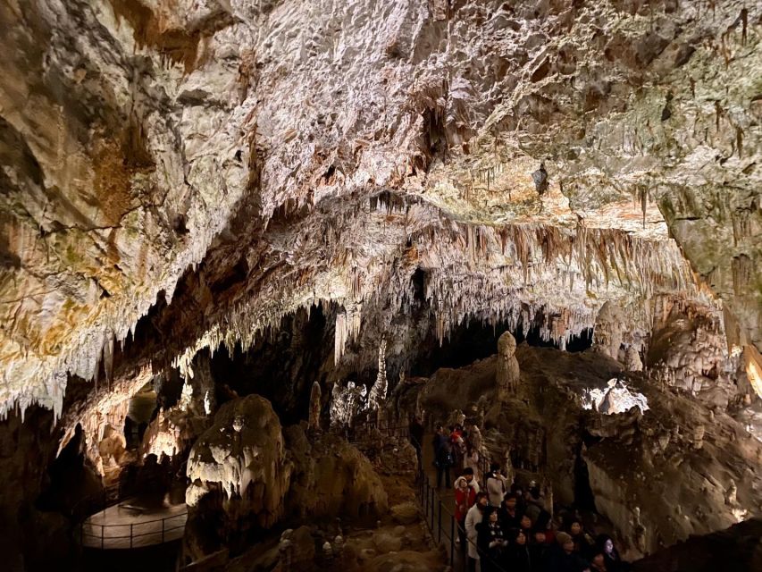From Ljubljana: Postojna Cave Day Trip