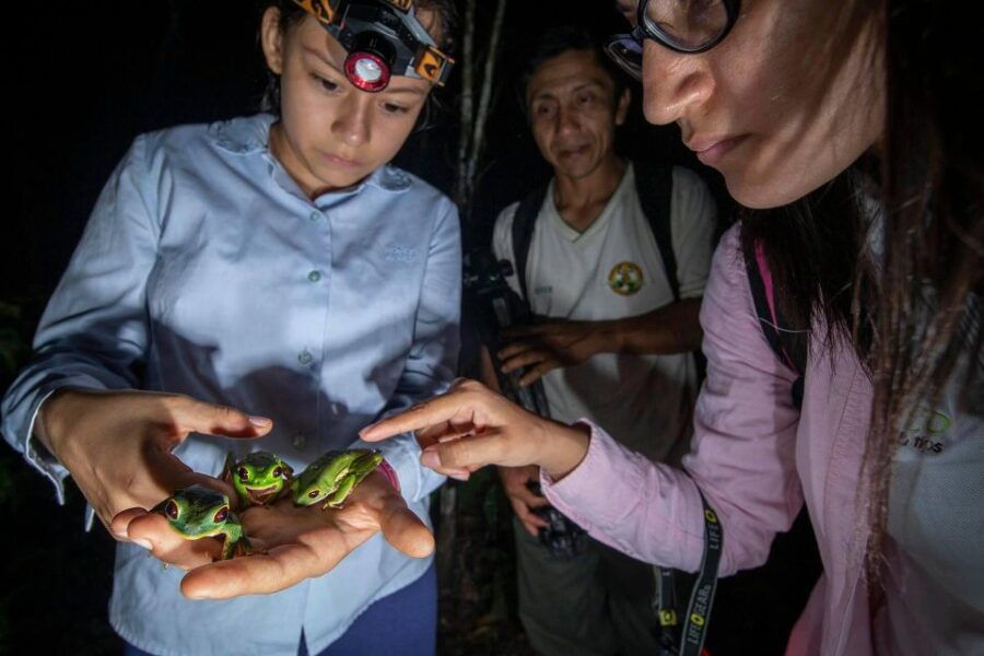 From Madre De Dios Night Trekking in the Amazon Jungle
