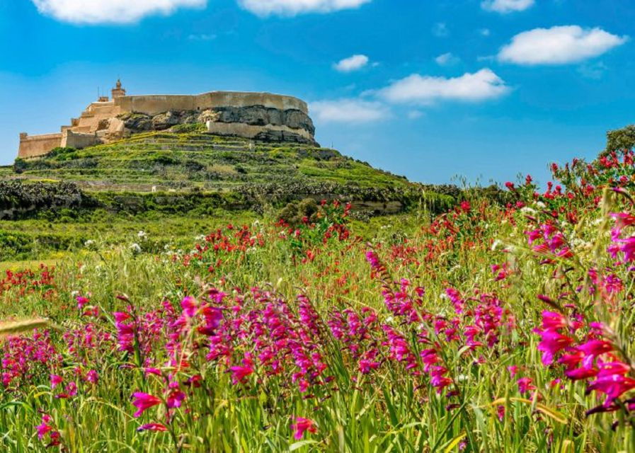 From Malta: Gozo Full-Day Tour With Guide, Temples, & Train - Good To Know