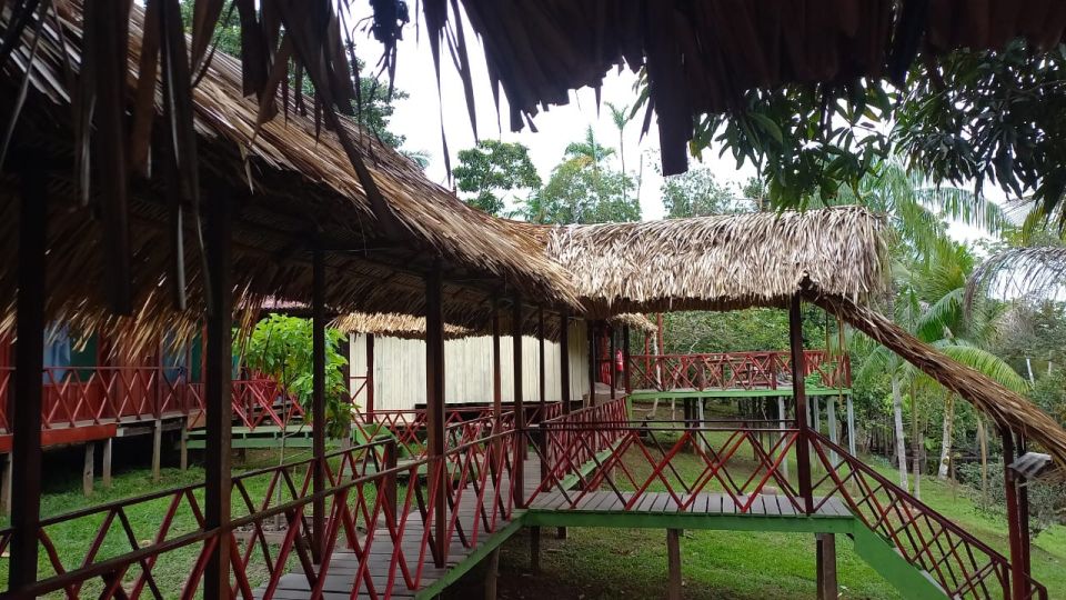 From Manaus: 2-Day Amazon Jungle and Ipanema Lake Excursion