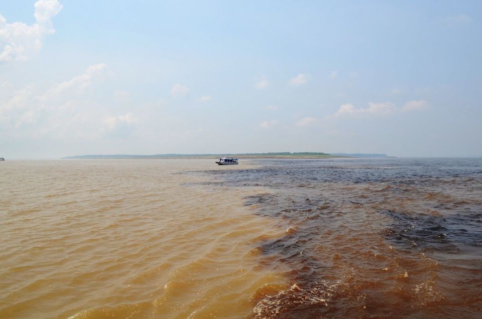 From Manaus: 3 or 4-Day Rio Negro & Anavilhanas River Cruise
