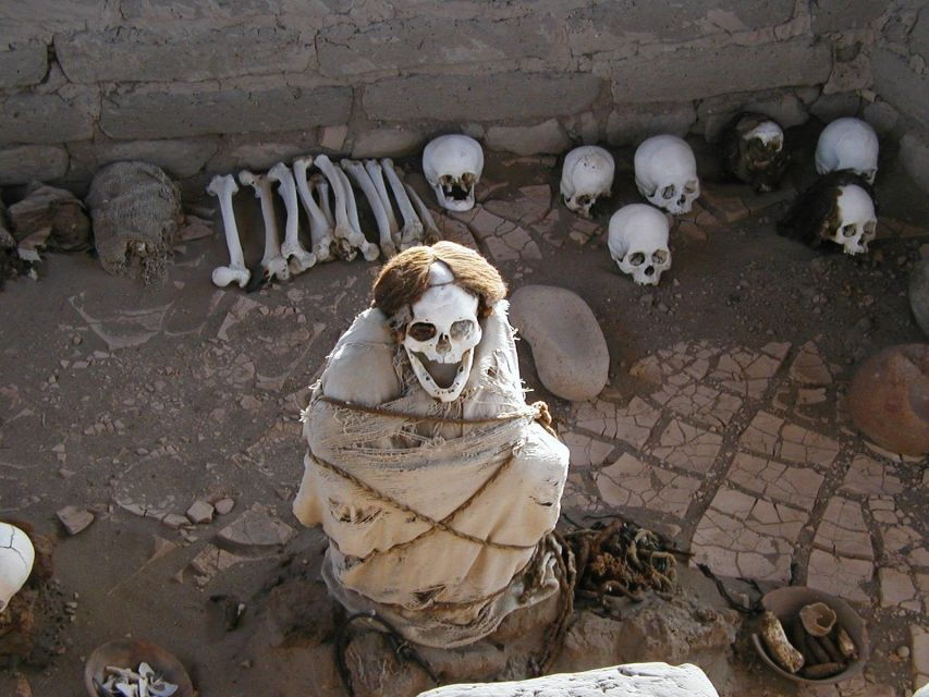 From Nazca Archaeological Tour of Nazca Antonini Museum
